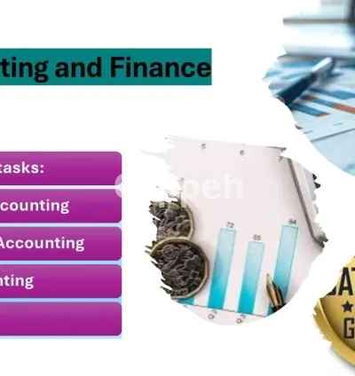 I will do accounting and finance tasks budgeting, financial management and finance task