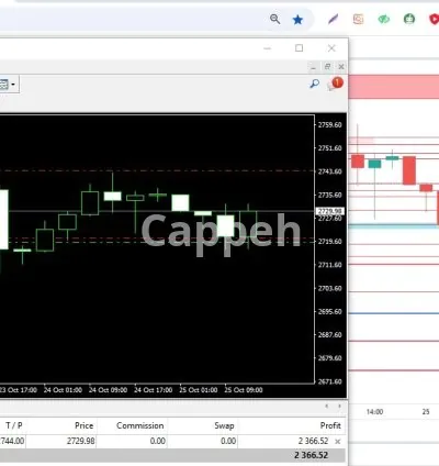 I will help you navigate forex markets for sustainable growth