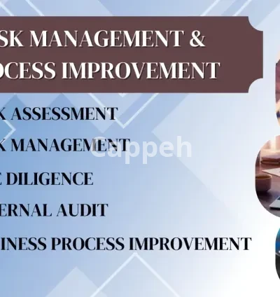 I will do risk assessment, risk management and due diligence