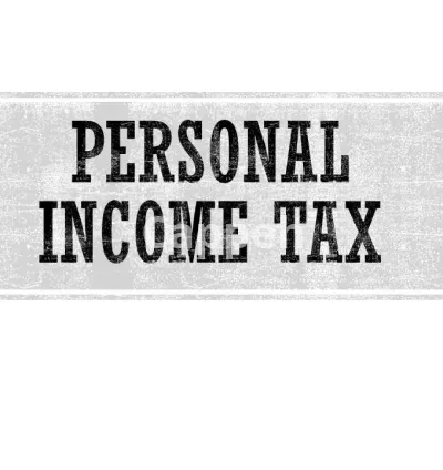 I will file personal tax and self employed tax for canada as CPA
