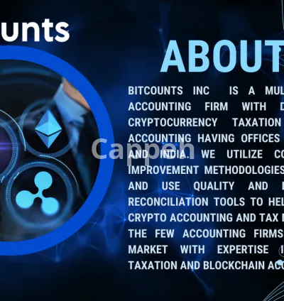 I will crypto accounting and tax report preparation