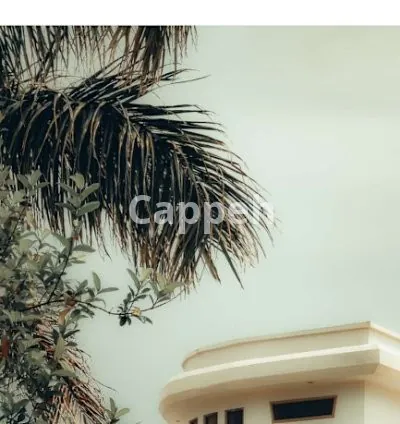 I will provide adobe lightroom presets to you