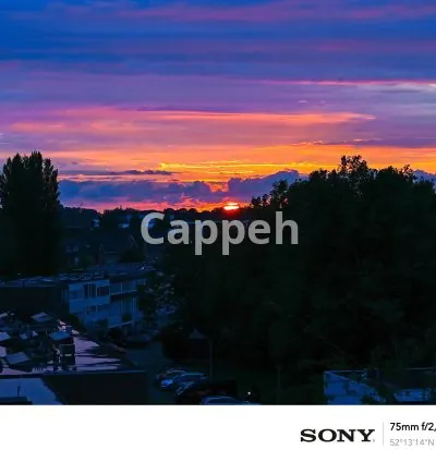 I will teach you photography videography and post editing