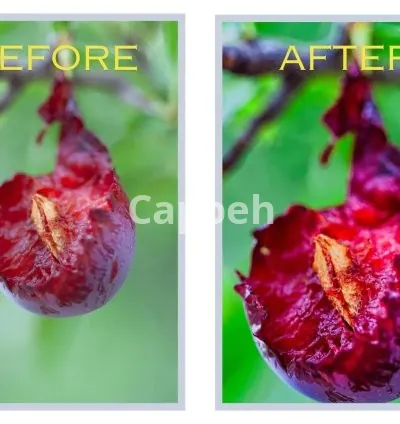 I will help you learn how to use luminar neo