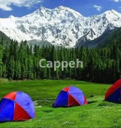 I will do anything related to pakistan for you