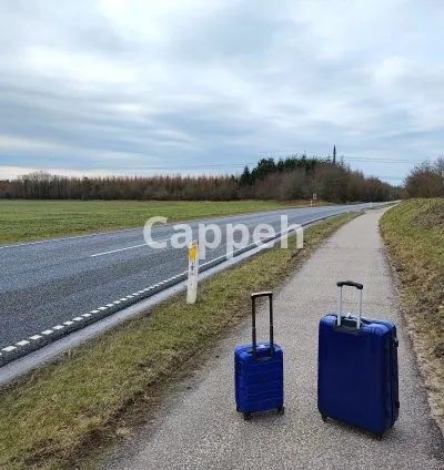 I will buy and ship to you any product from italy