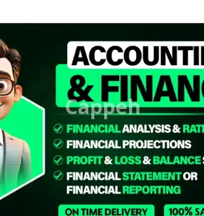 I will do accounting, finance, financial statement, analysis, ratio, report, projection