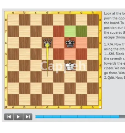 I will teach you chess with practice, tournaments, and exercises