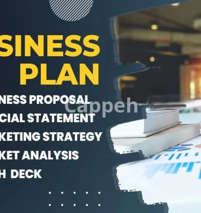 I will write an investor ready business plan