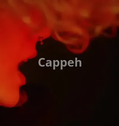 I will review your fashion video or music video