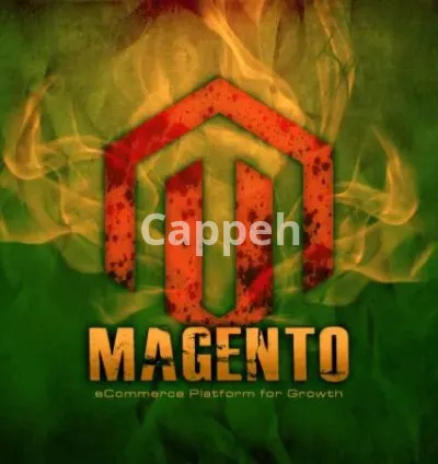 I will provide magento support maintenance services