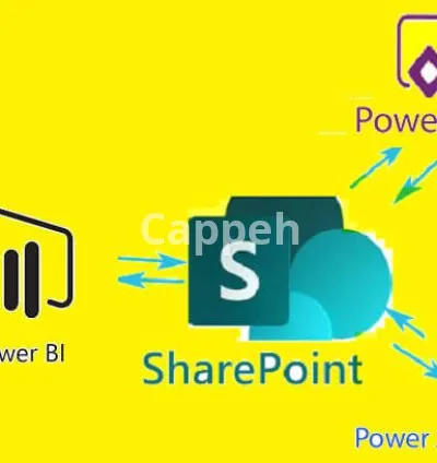 I will provide sharepoint online, power apps and power bi solution