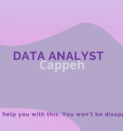 I will be your virtual data analyst