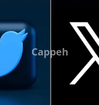 I will help you get new followers on twitter now called x