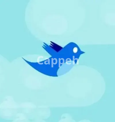 I will help you with twitter for your business