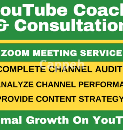 I will be youtube consultant or coach to provide consultation