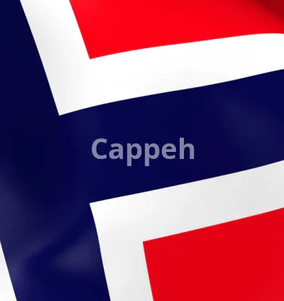 I will answer your questions about norway